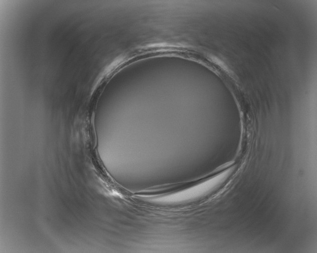 X0000079321357200611171112