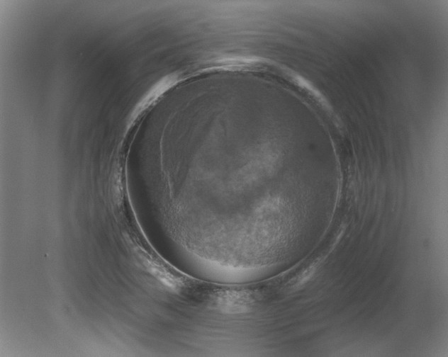 X0000079321362200611171112