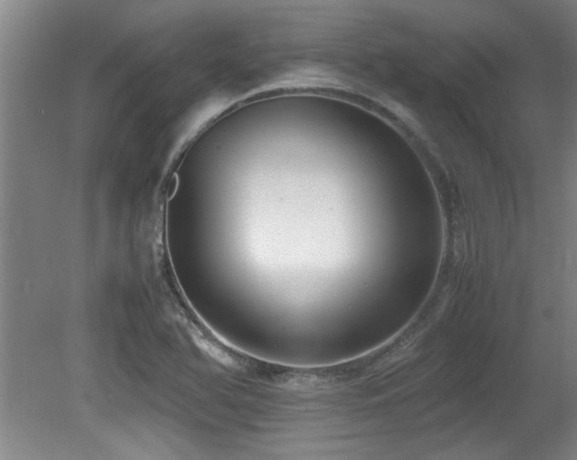 X0000079321366200611171112