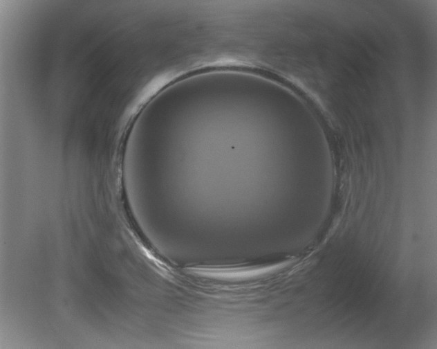 X0000079321367200611171112