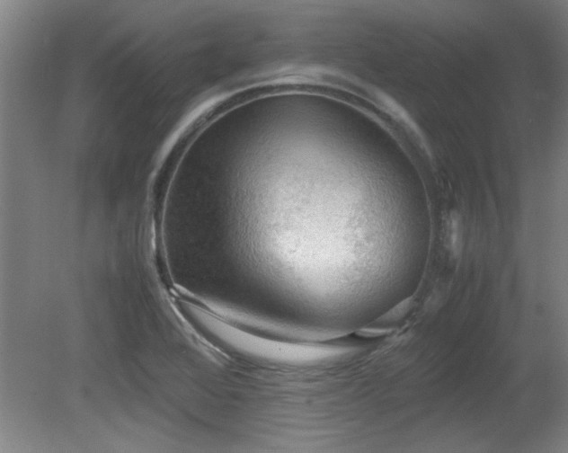 X0000079321368200611171112