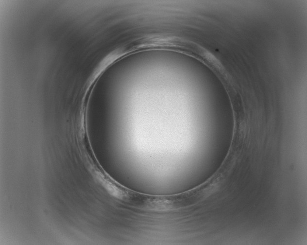 X0000079321370200611171112
