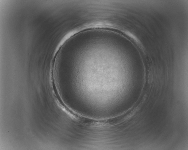X0000079321374200611171112