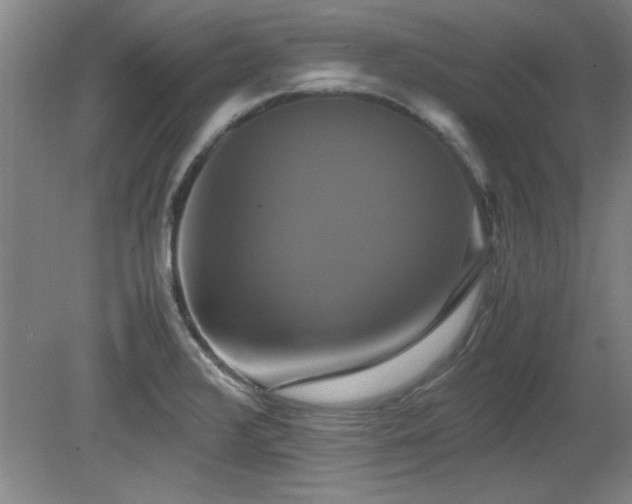 X0000079321376200611171112