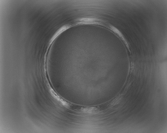 X0000079321386200611171111