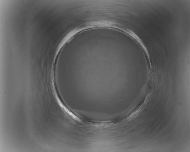 X0000079321389200611171111