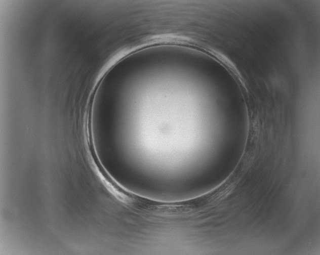 X0000079321391200611171111