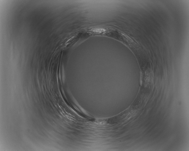X0000079321394200611171110