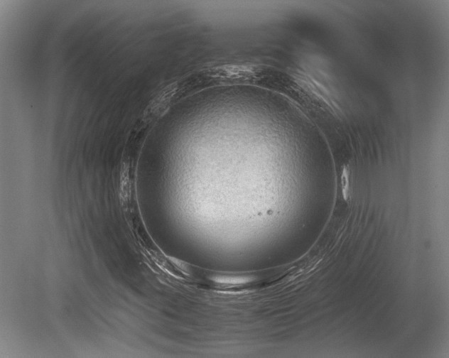 X0000079321395200611171110