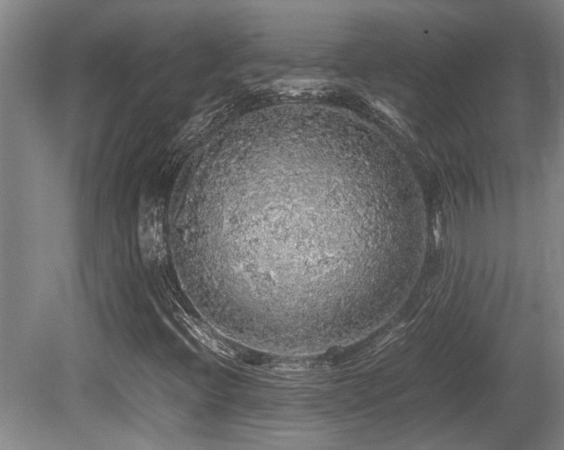 X0000079321396200611171111