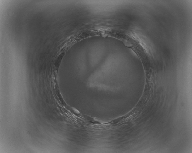 X0000079321397200611171111