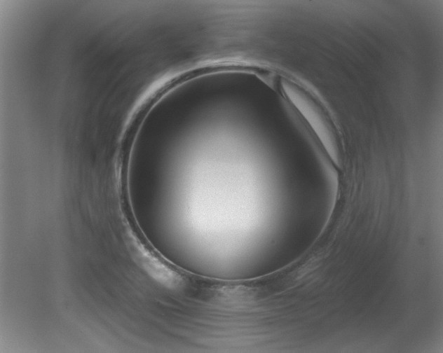 X0000079321416200611171111