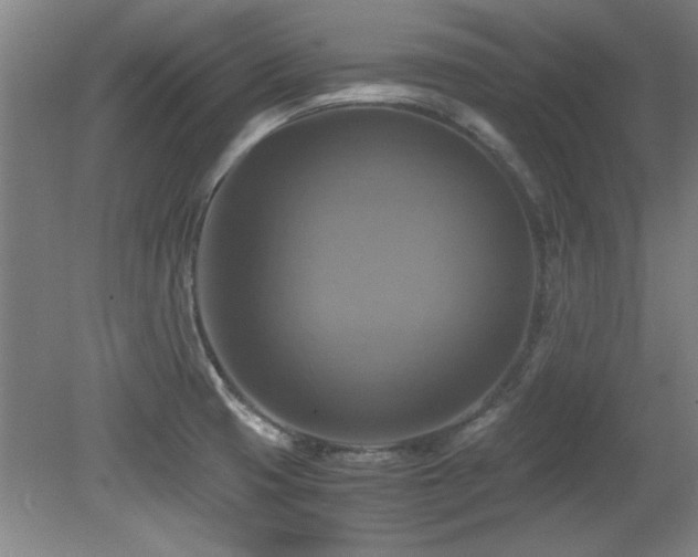 X0000079321425200611171111