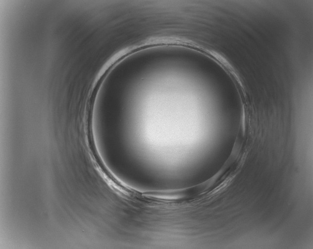 X0000079321438200611171111