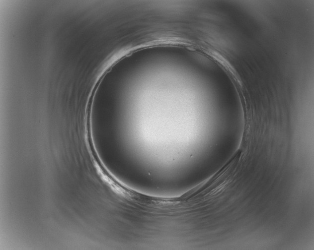 X0000079321439200611171111