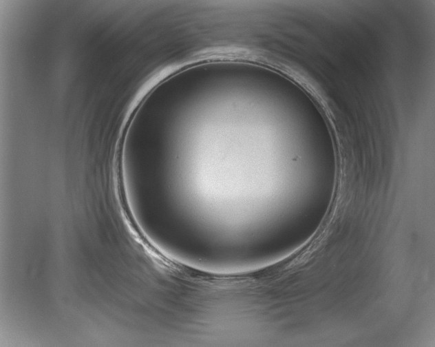 X0000079321440200611171111