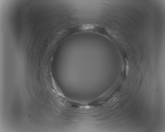X0000079321441200611171110