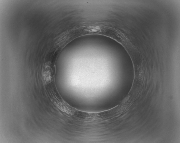 X0000079321442200611171110