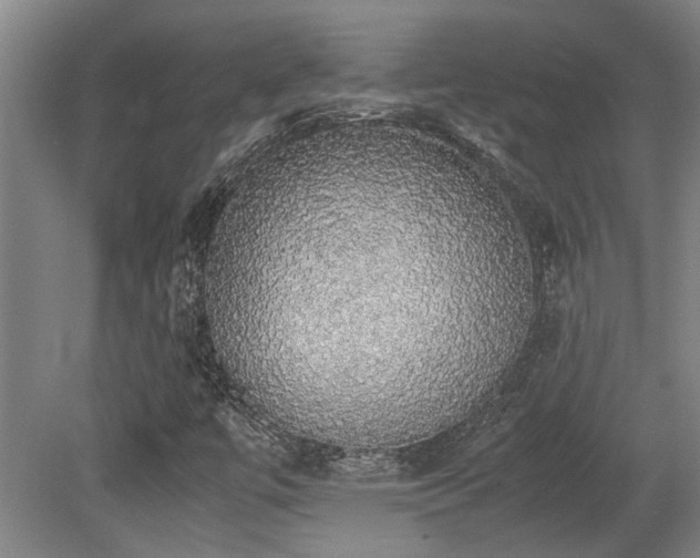 X0000079321447200611171110