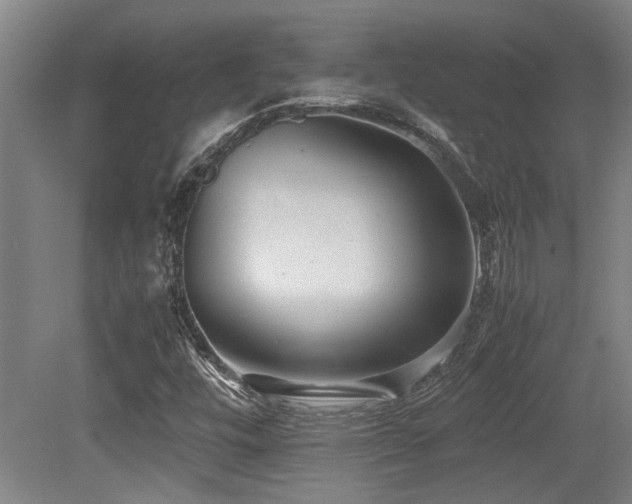 X0000079321448200611171110