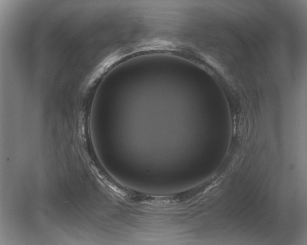X0000079321455200611171110
