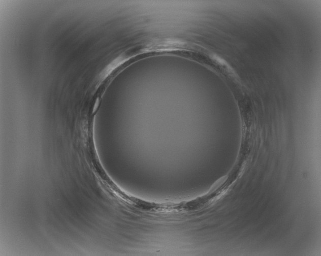 X0000079321457200611171110