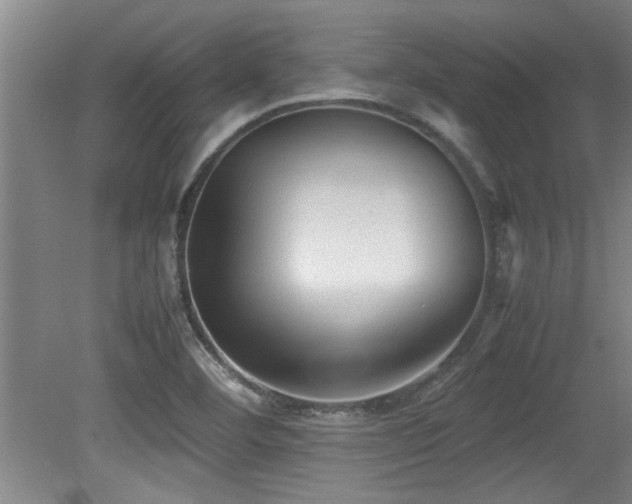 X0000079321460200611171110