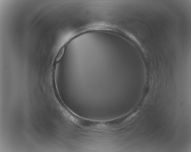 X0000079321463200611171110