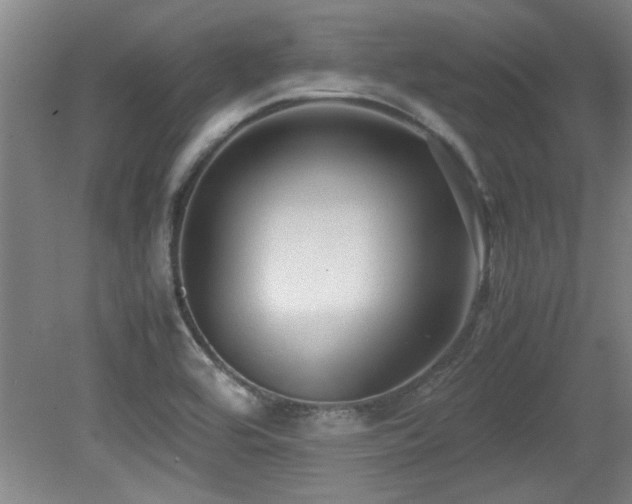 X0000079321464200611171110