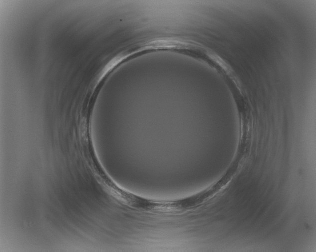 X0000079321465200611171110