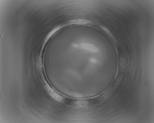 X0000079321466200611171110