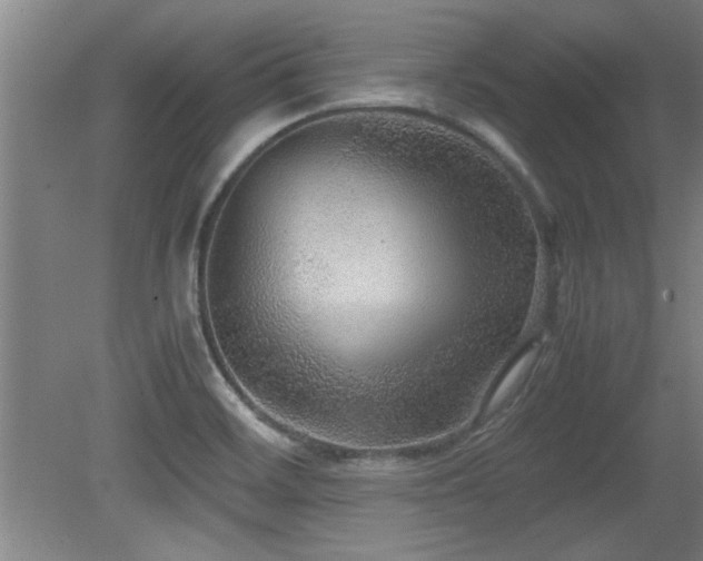 X0000079321468200611171110