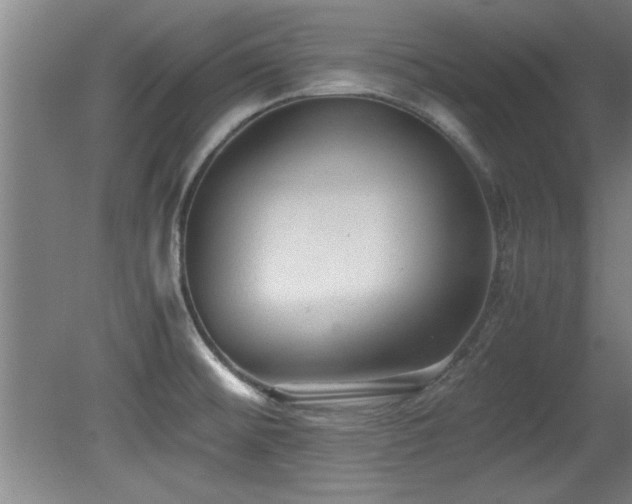 X0000079321476200611171110