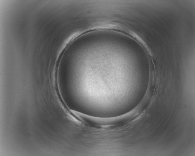 X0000079321477200611171110