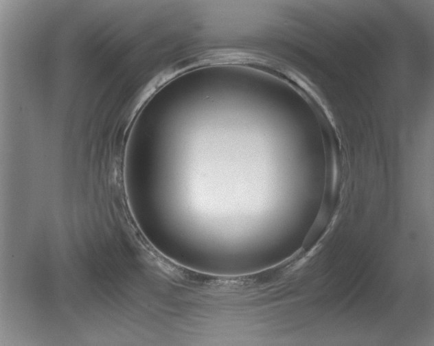 X0000079321481200611171110