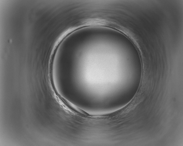 X0000079321488200611171110