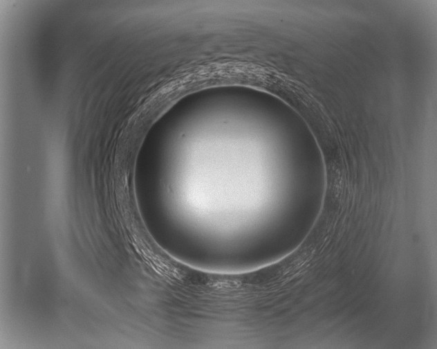 X0000079321489200611171109