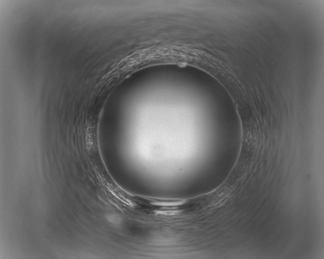 X0000079321490200611171109