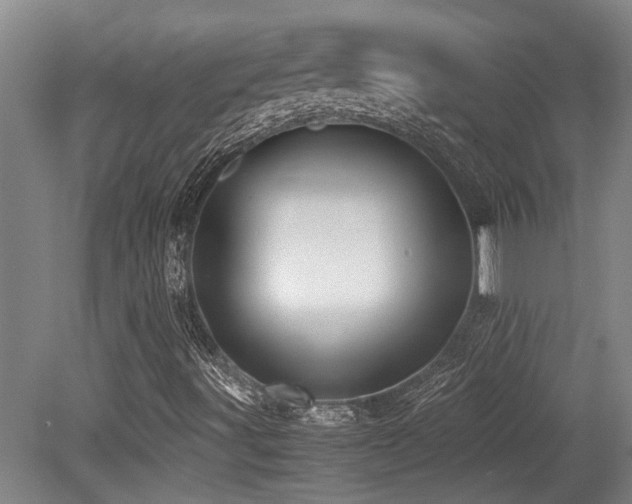 X0000079321491200611171109