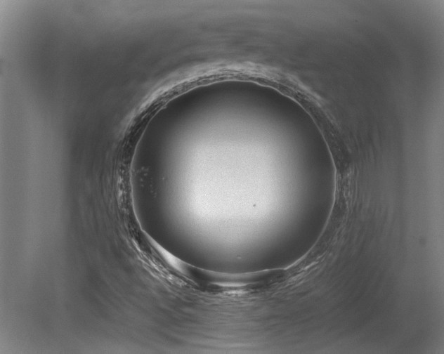 X0000079321496200611171109