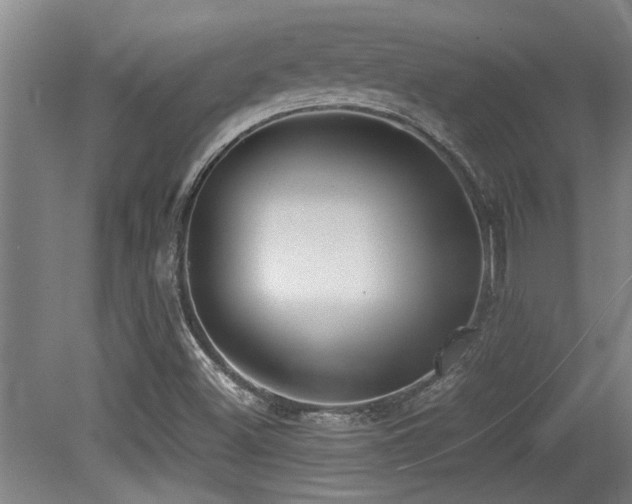 X0000079321500200611171109