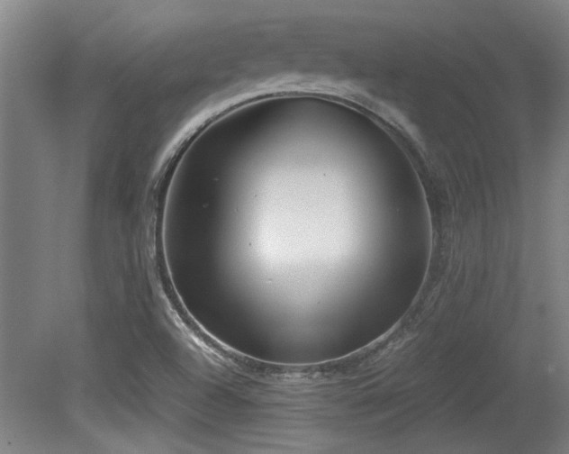 X0000079321504200611171109