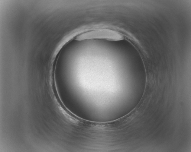 X0000079321512200611171109