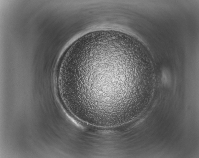 X0000079321517200611171109
