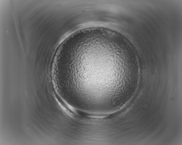 X0000079321521200611171109