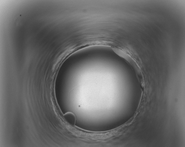 X0000079320001200611251816