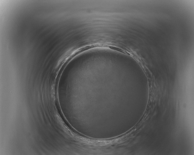 X0000079320002200611251816