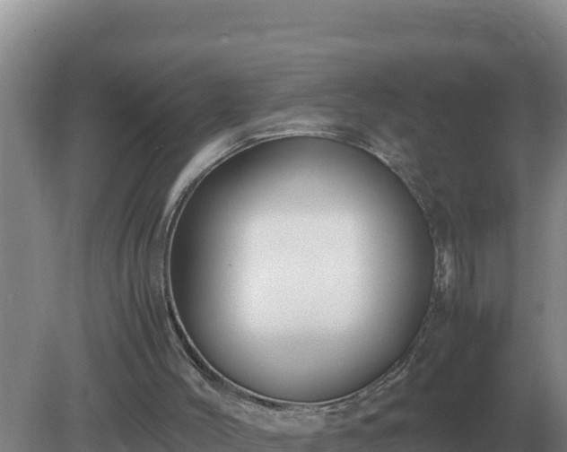 X0000079320004200611251816