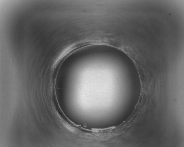 X0000079320005200611251816