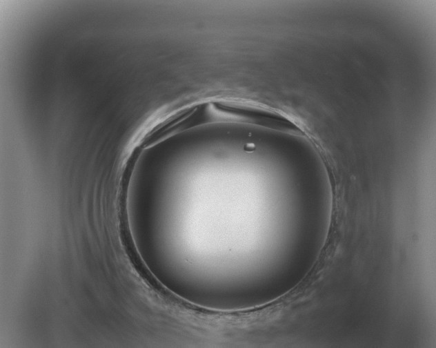 X0000079320007200611251816